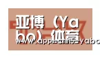亚博合作伙伴二