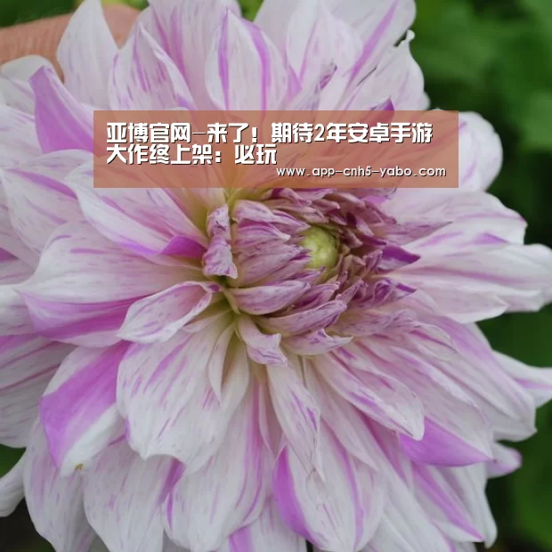 亚博官网-来了!期待2年安卓手游大作终上架:必玩(图3) 亚博官网