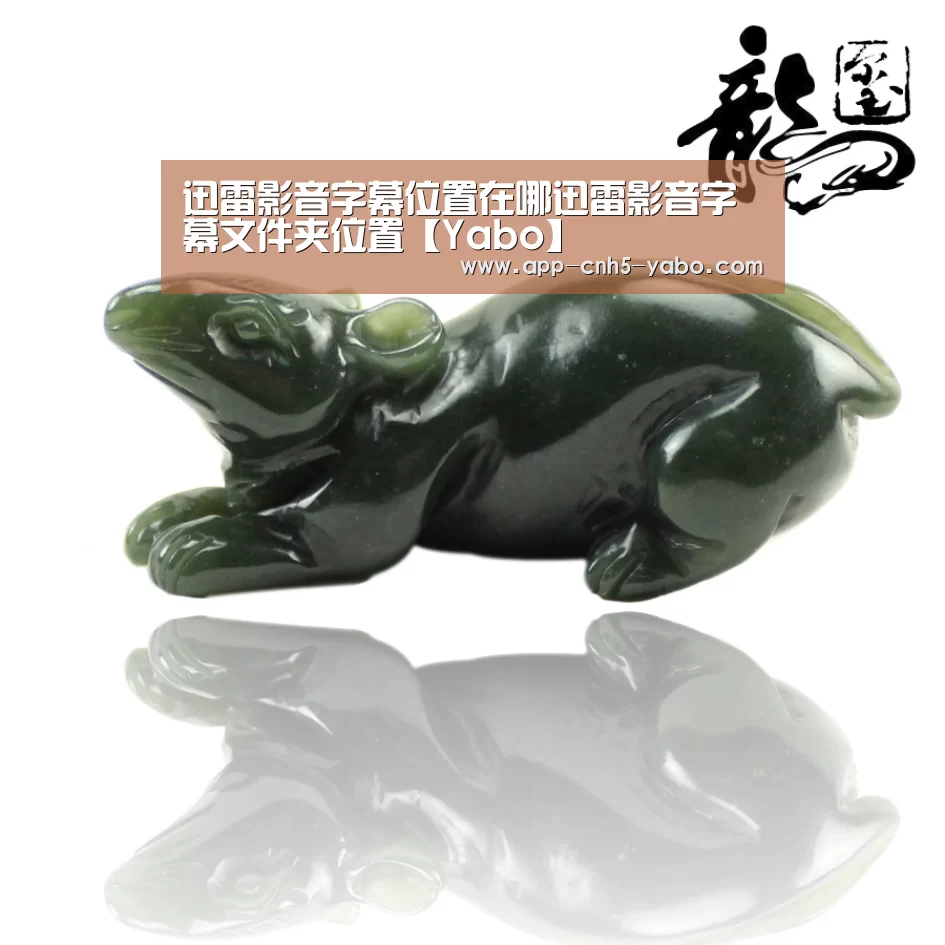 迅雷影音字幕位置在哪迅雷影音字幕文件夹位置【Yabo】(图1) 迅雷影音字幕位置在哪迅雷影音字幕文件夹位置【Yabo】(图1)