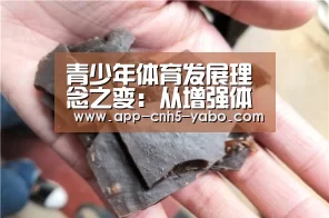 青少年体育发展理念之变:从增强体质到健康第一-亚博(图4) 亚博官网