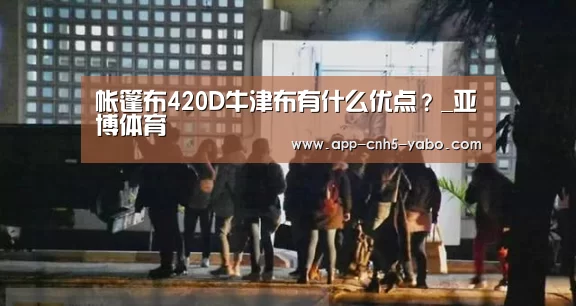 帐篷布420D牛津布有什么优点?_亚博体育(图2) 亚博