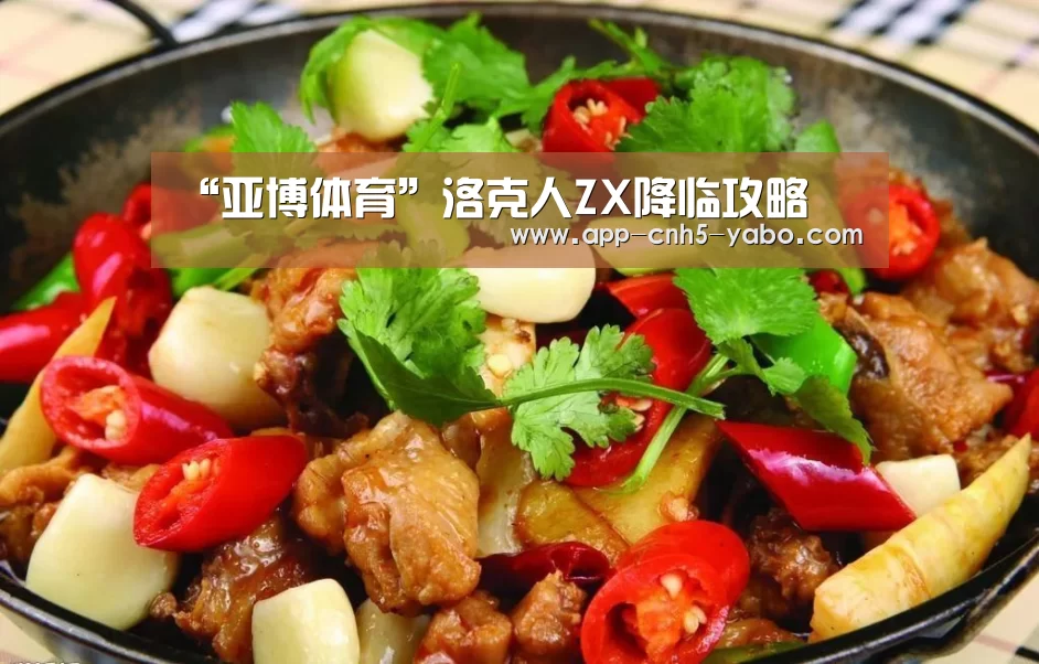 “亚博体育”洛克人ZX降临攻略(图1) “亚博体育”洛克人ZX降临攻略(图1)