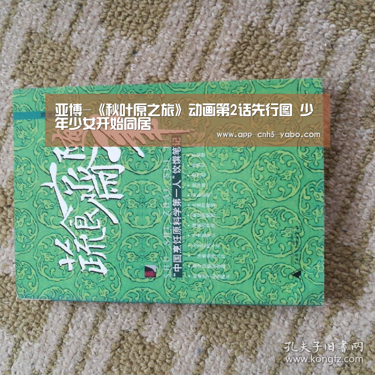 亚博-《秋叶原之旅》动画第2话先行图 少年少女开始同居(图1) 亚博体育